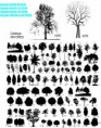 /album/catalogo-arvores-e-florais-anote-o-modelo-desejado-/a-arvores-catalogo-jpg1/